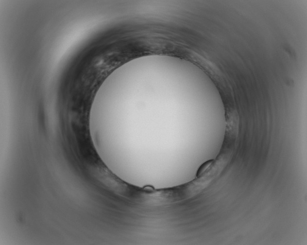 X0000113300430200910051046