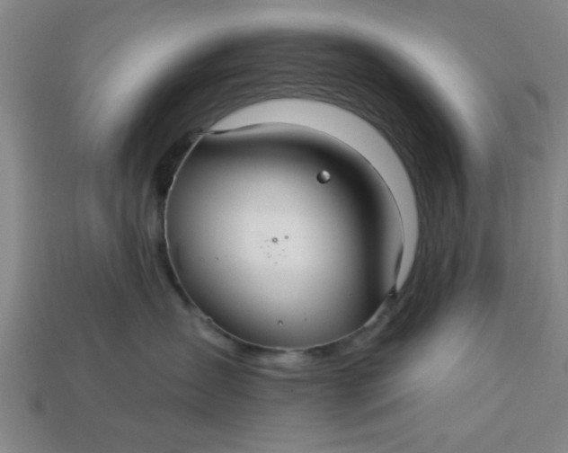 X0000113300431200910051046