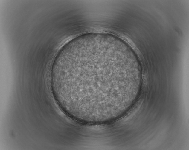 X0000113300433200910051045