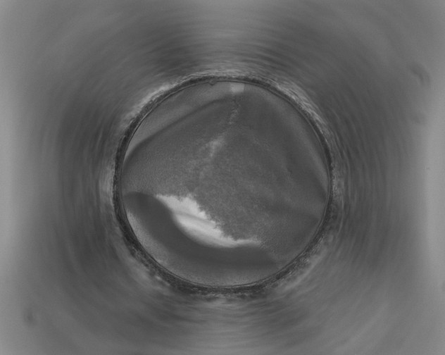 X0000113300434200910051045