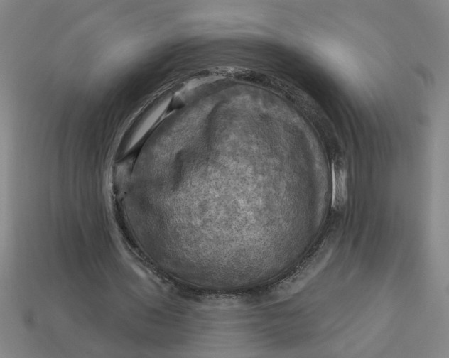 X0000113300435200910051045