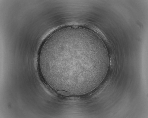 X0000113300436200910051045