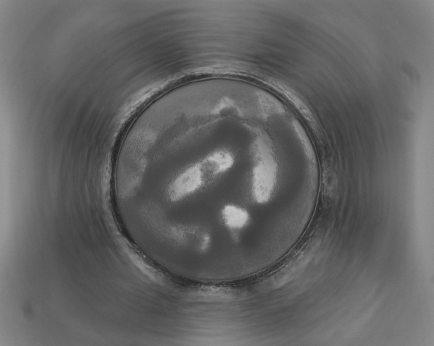 X0000113300437200910051045