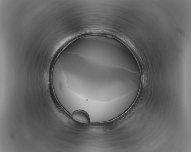 X0000113300438200910051045