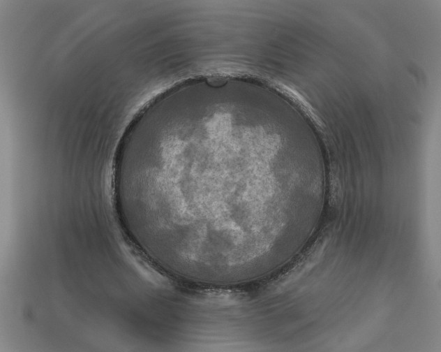 X0000113300439200910051045