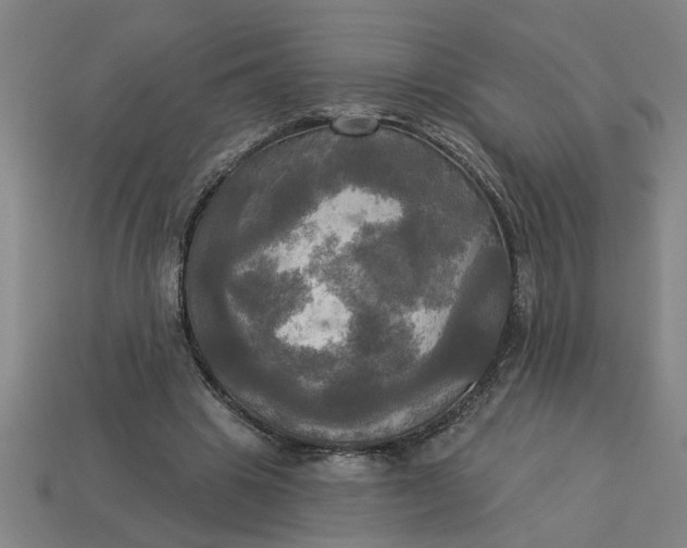X0000113300441200910051045