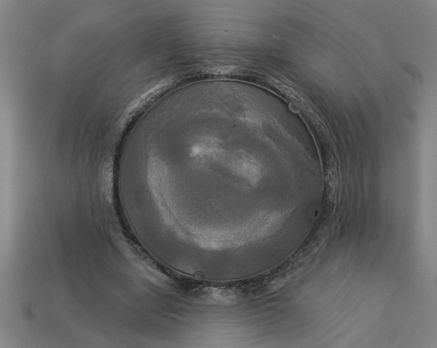 X0000113300442200910051045