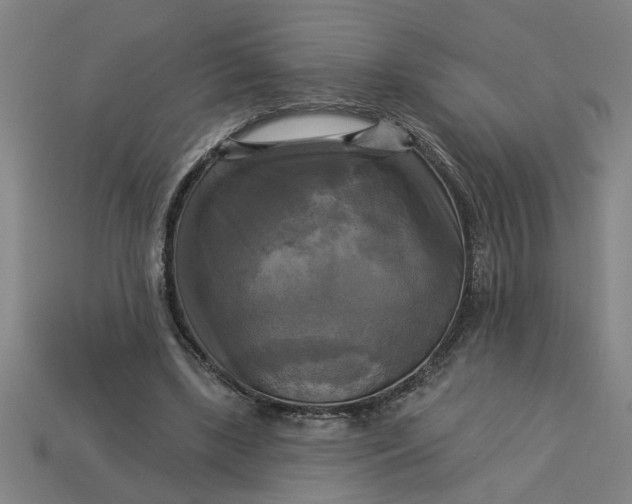 X0000113300443200910051045