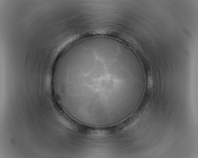 X0000113300444200910051045