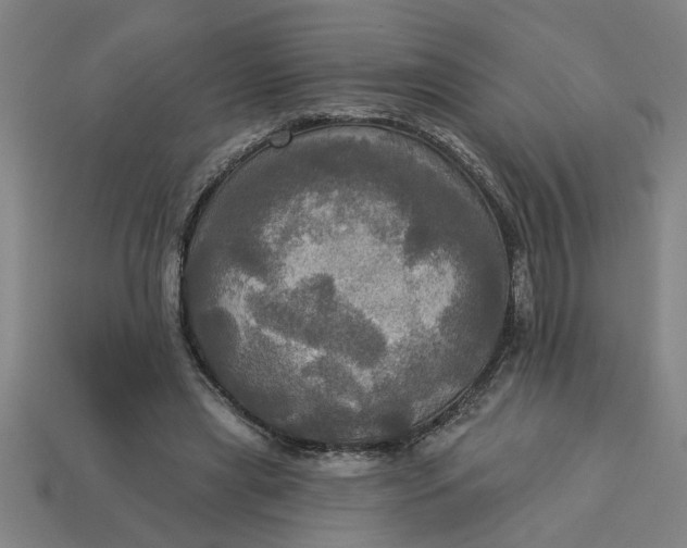 X0000113300445200910051045