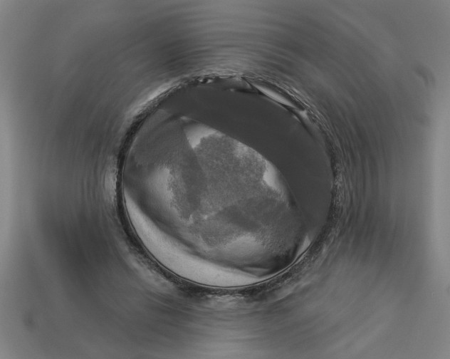 X0000113300446200910051045