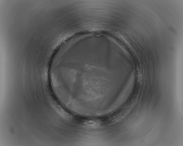 X0000113300447200910051045