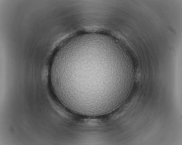 X0000113300448200910051045