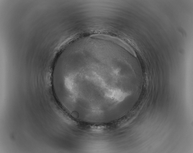 X0000113300450200910051045