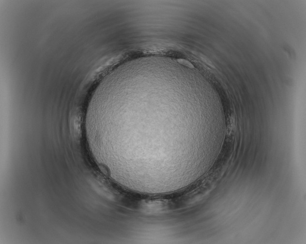 X0000113300452200910051045