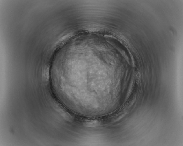 X0000113300454200910051045