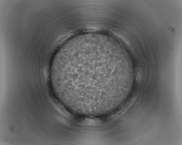 X0000113300455200910051045