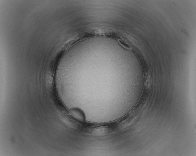 X0000113300456200910051045