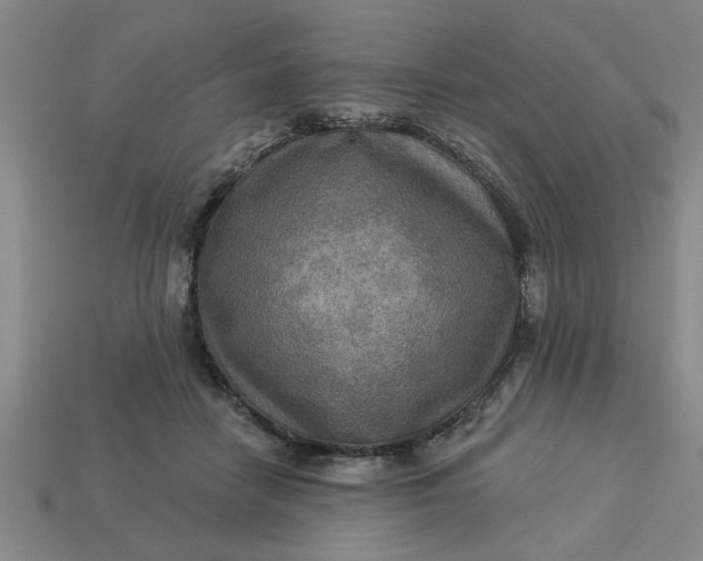 X0000113300458200910051045