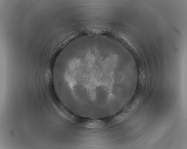 X0000113300459200910051045