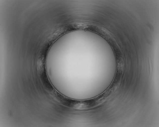 X0000113300460200910051045