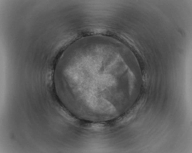 X0000113300462200910051046