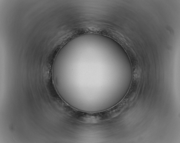 X0000113300464200910051046
