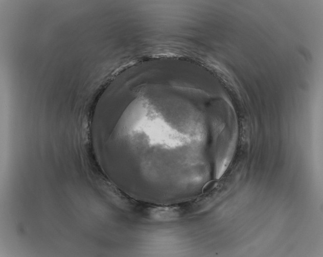 X0000113300465200910051046