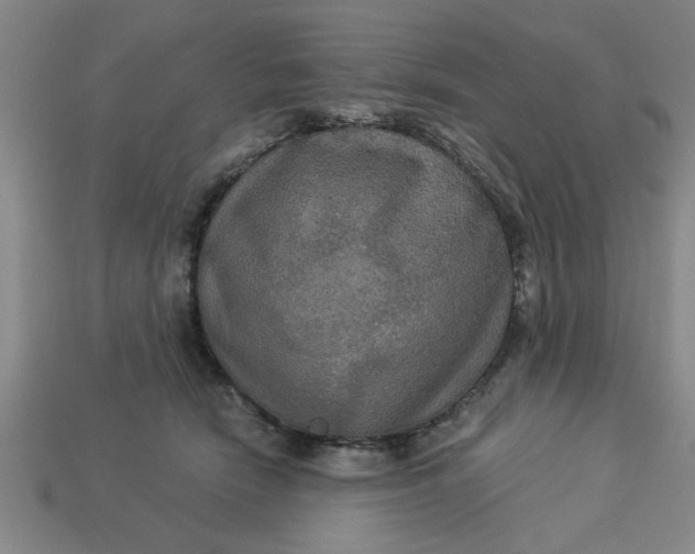 X0000113300466200910051046