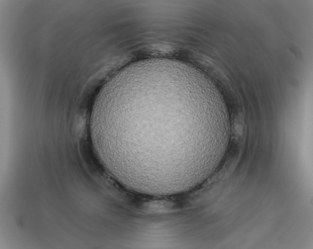 X0000113300468200910051046