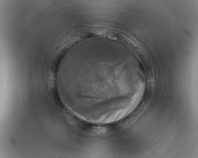 X0000113300469200910051046