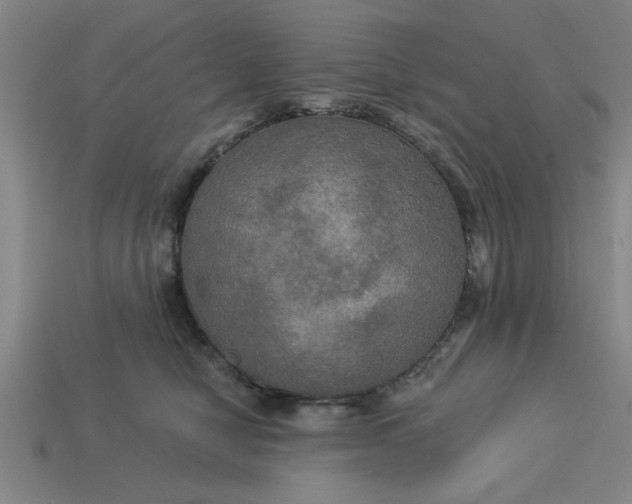 X0000113300470200910051046