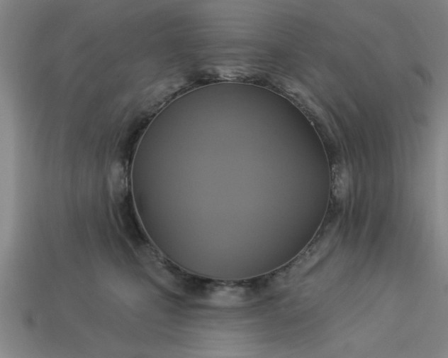 X0000113300471200910051046