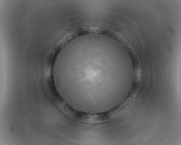 X0000113300472200910051046