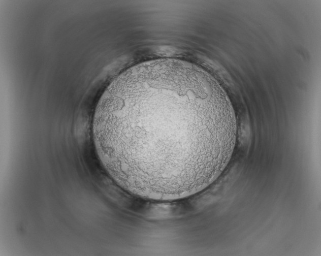 X0000113300473200910051046