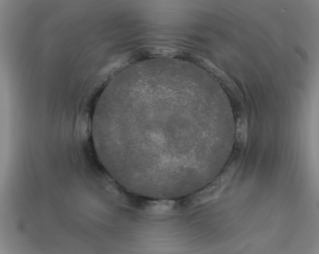 X0000113300474200910051046