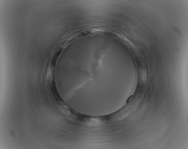 X0000113300475200910051046