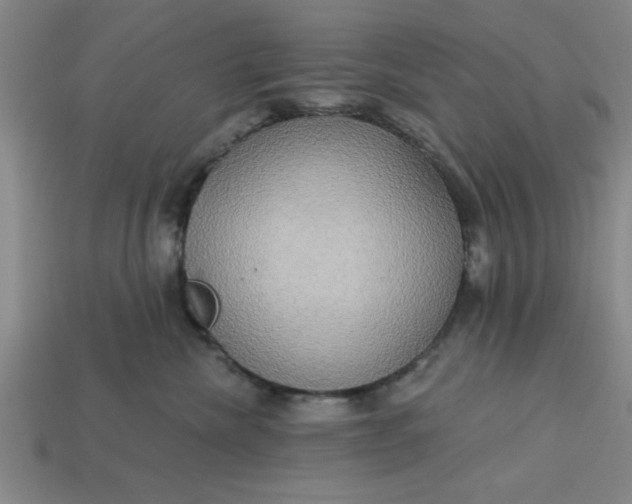 X0000113300476200910051046