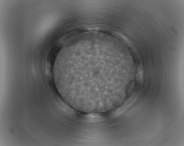 X0000113300477200910051046