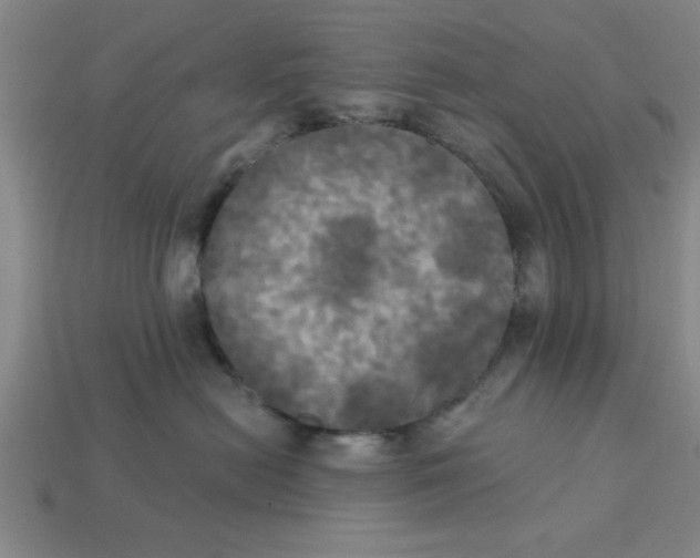 X0000113300478200910051046
