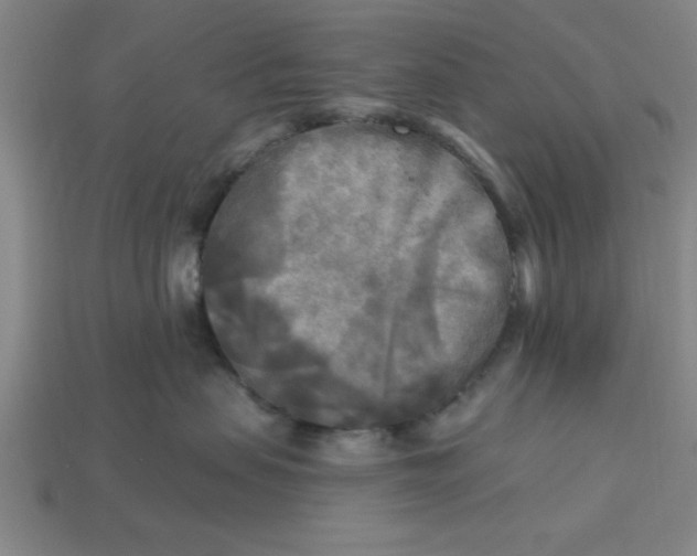 X0000113300479200910051046