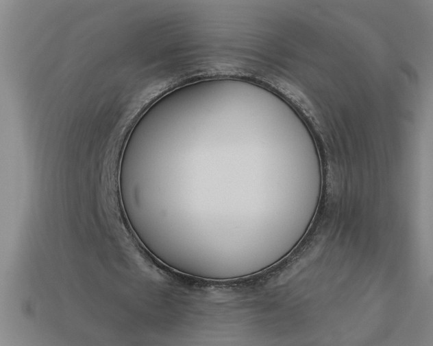 X0000113300481200910051045