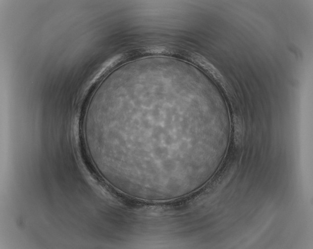 X0000113300482200910051045