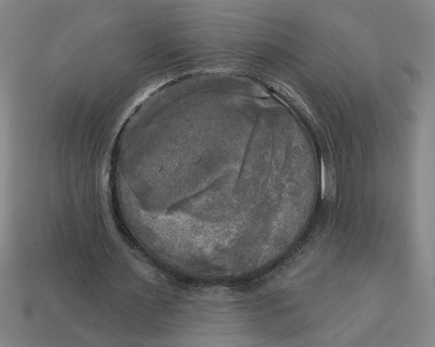X0000113300483200910051045