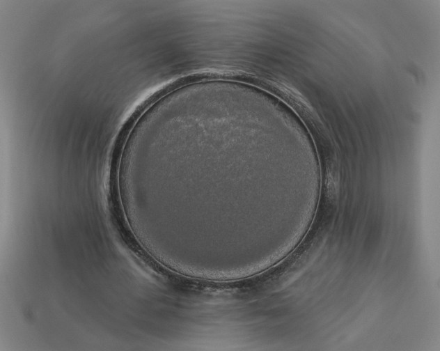 X0000113300484200910051045