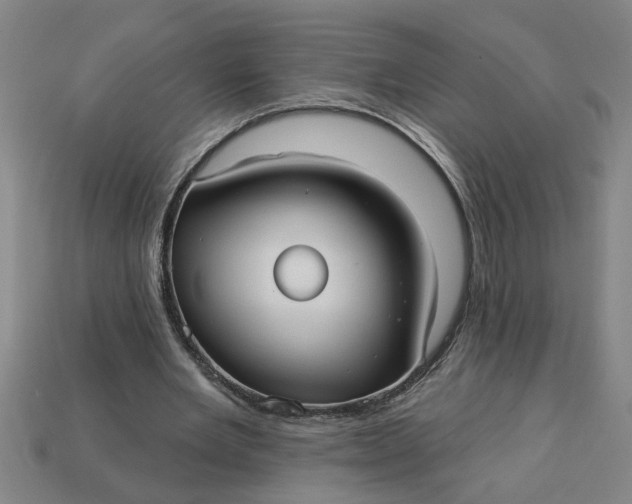 X0000113300485200910051045