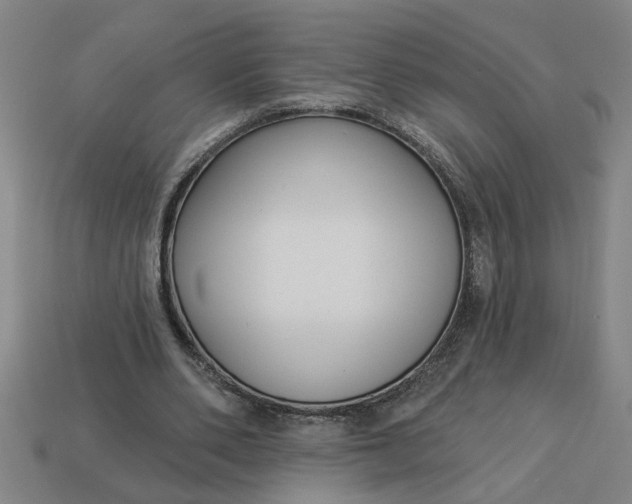 X0000113300486200910051045
