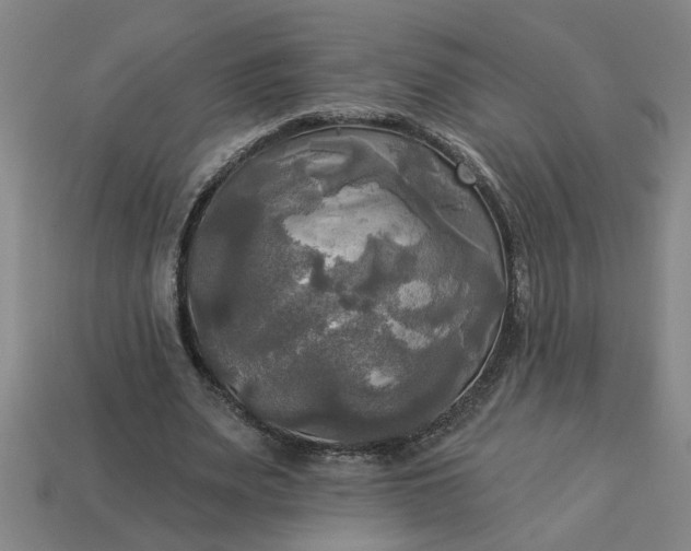 X0000113300487200910051045