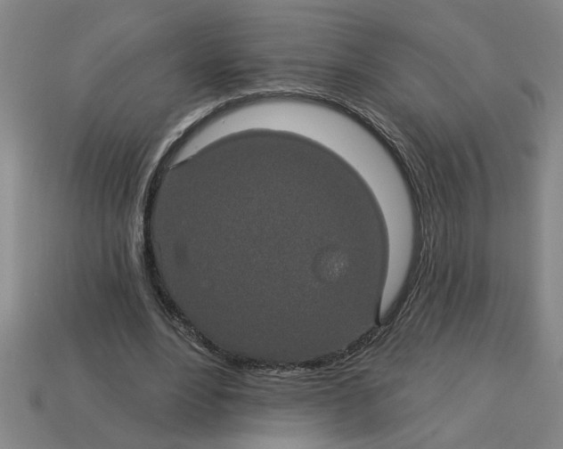 X0000113300488200910051045