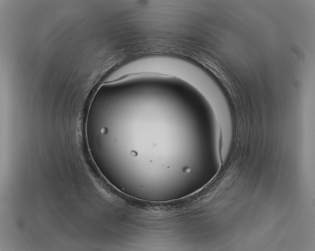 X0000113300489200910051045